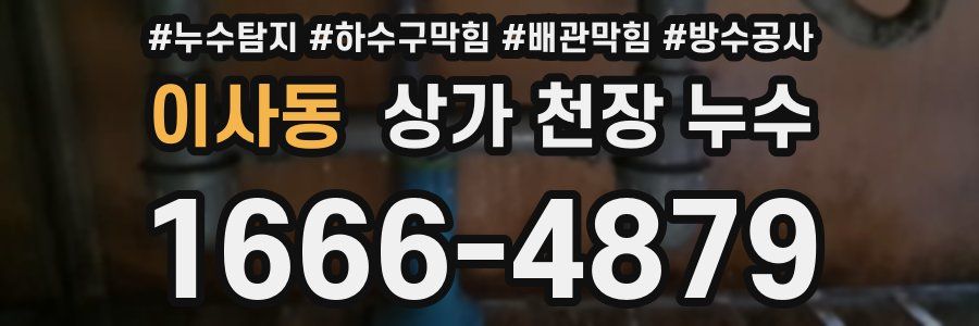 이사동 상가 천장 누수