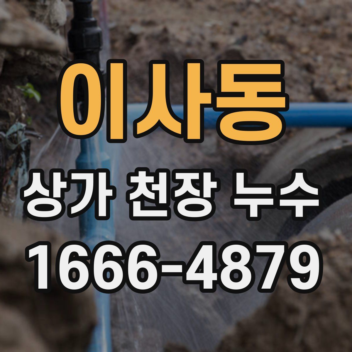 이사동 상가 천장 누수