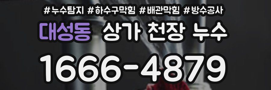 대성동 상가 천장 누수