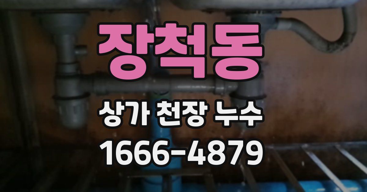 장척동 상가 천장 누수