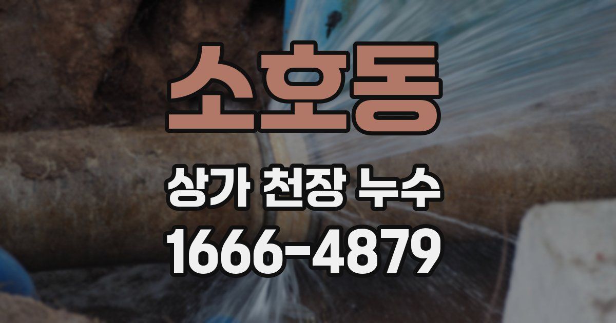소호동 상가 천장 누수