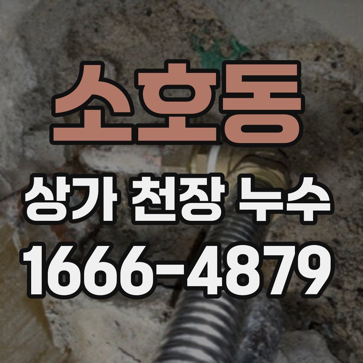 소호동 상가 천장 누수