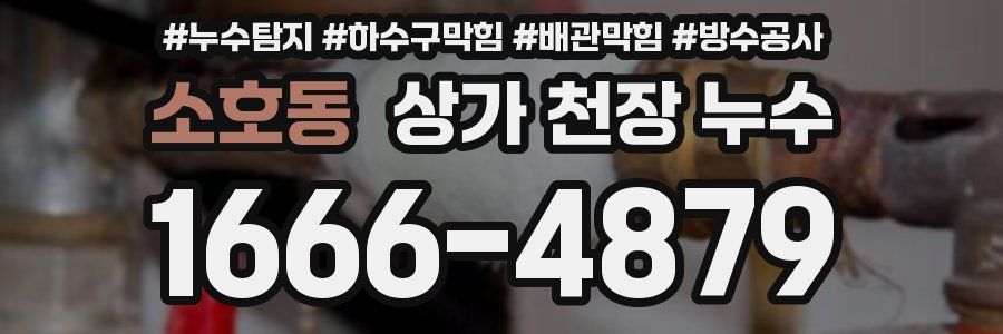 소호동 상가 천장 누수