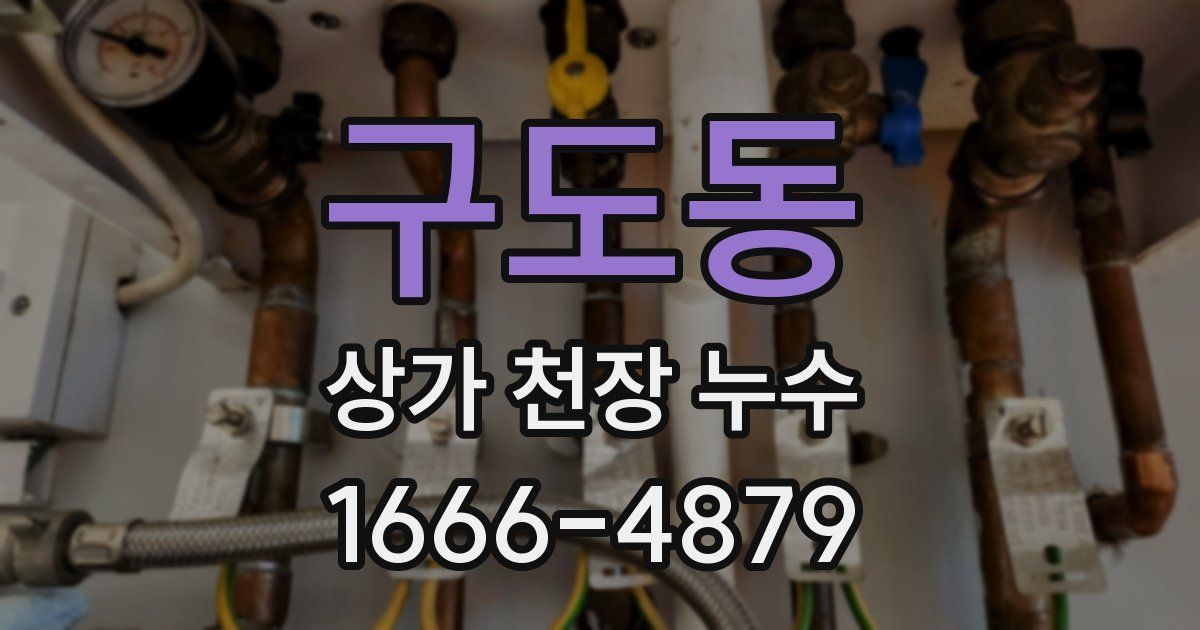 구도동 상가 천장 누수