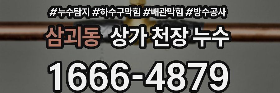 삼괴동 상가 천장 누수