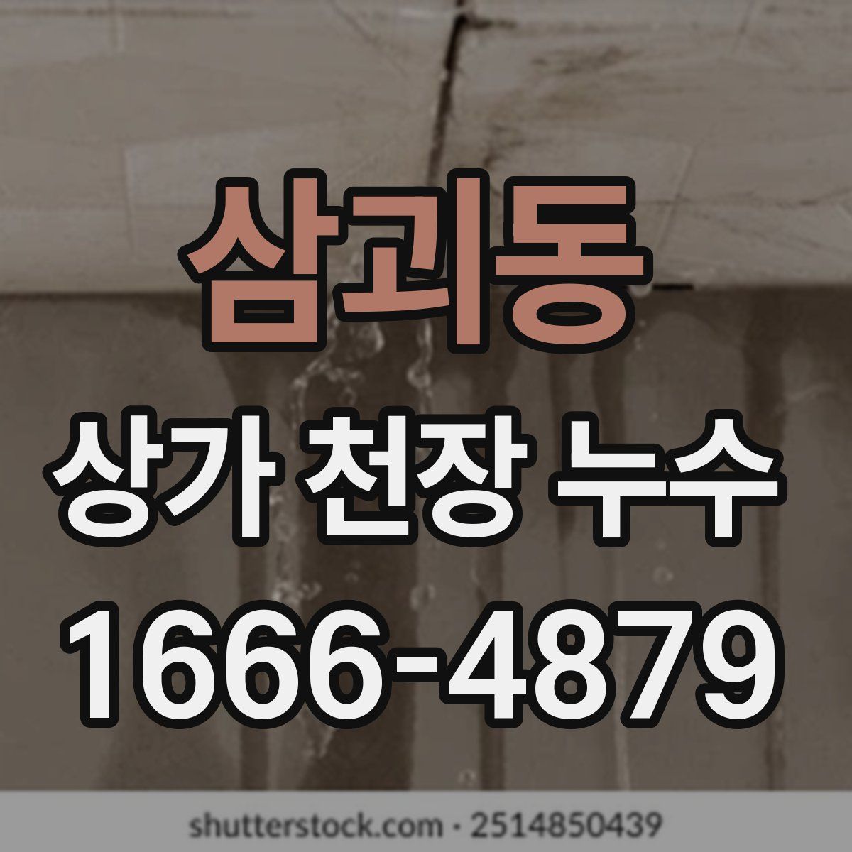 삼괴동 상가 천장 누수