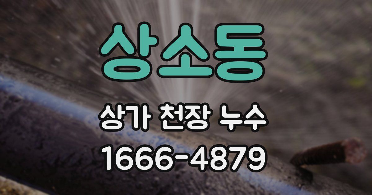 상소동 상가 천장 누수