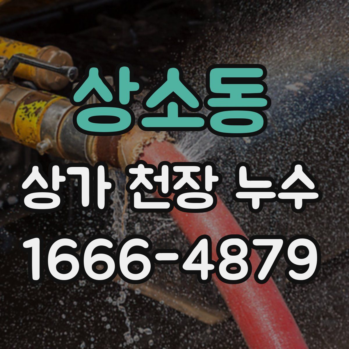 상소동 상가 천장 누수