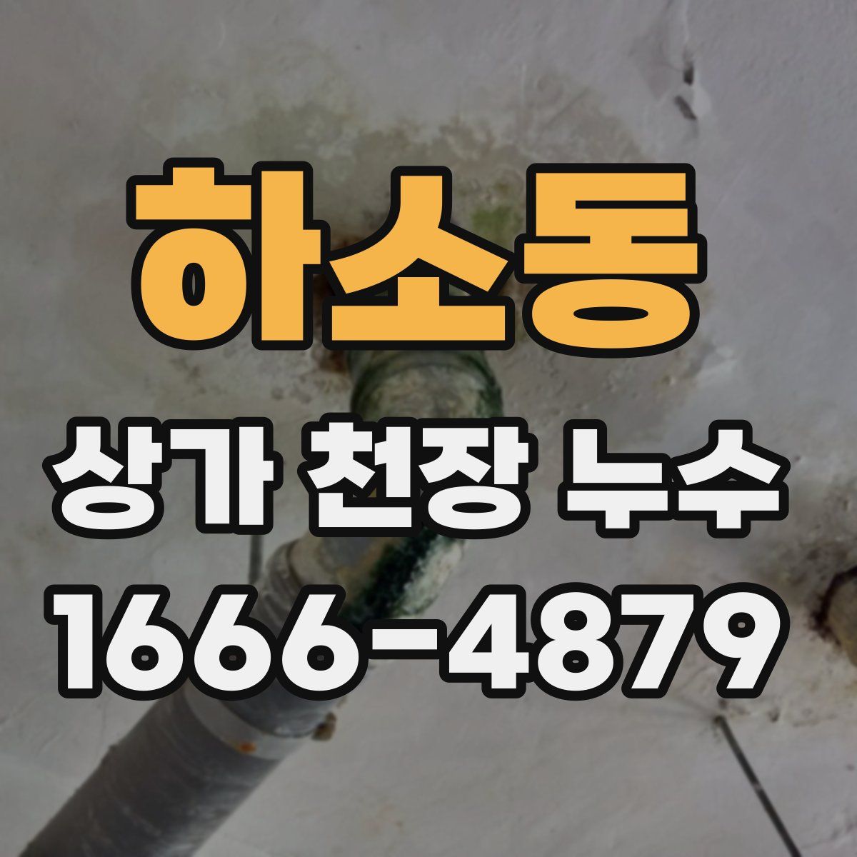 하소동 상가 천장 누수