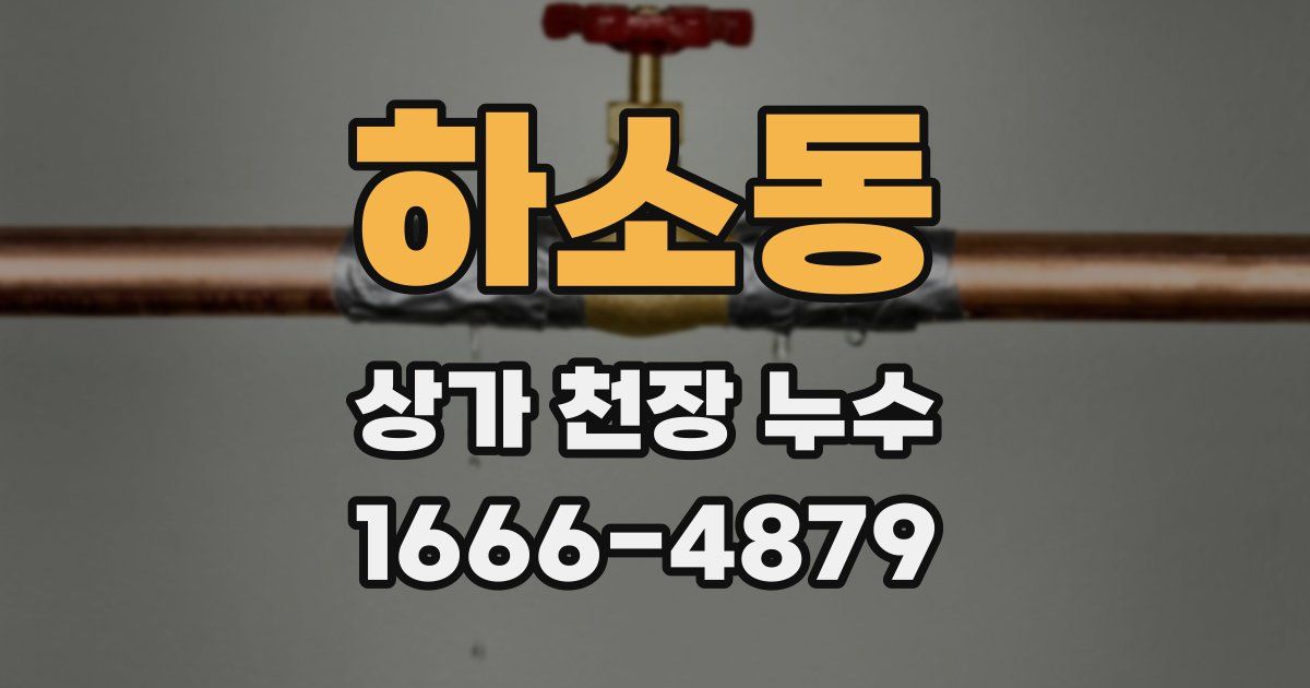 하소동 상가 천장 누수