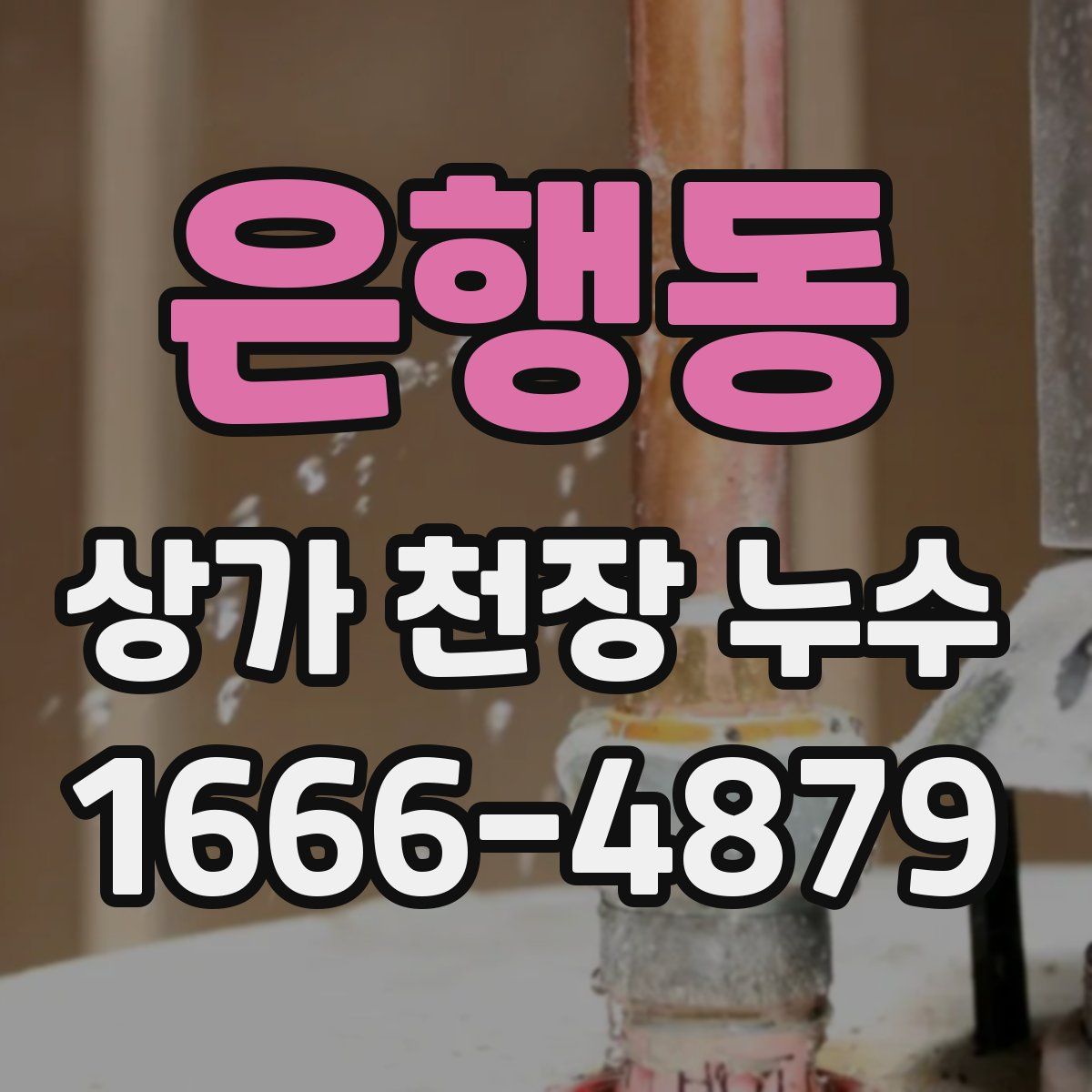 은행동 상가 천장 누수