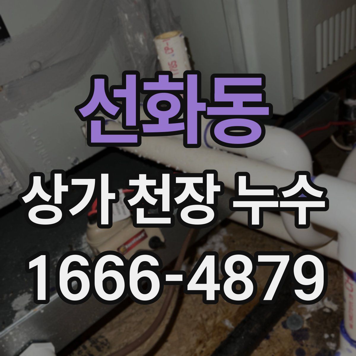 선화동 상가 천장 누수