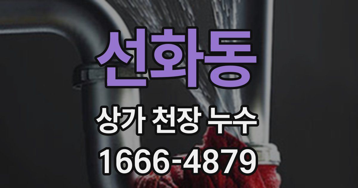 선화동 상가 천장 누수