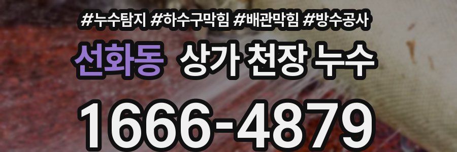 선화동 상가 천장 누수