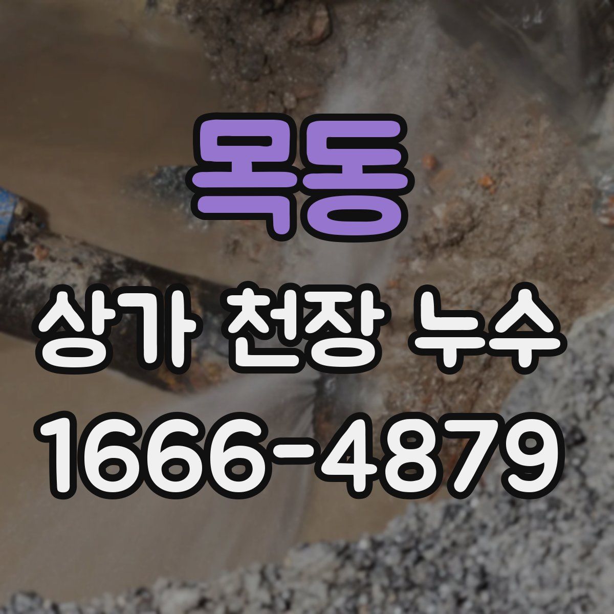 목동 상가 천장 누수