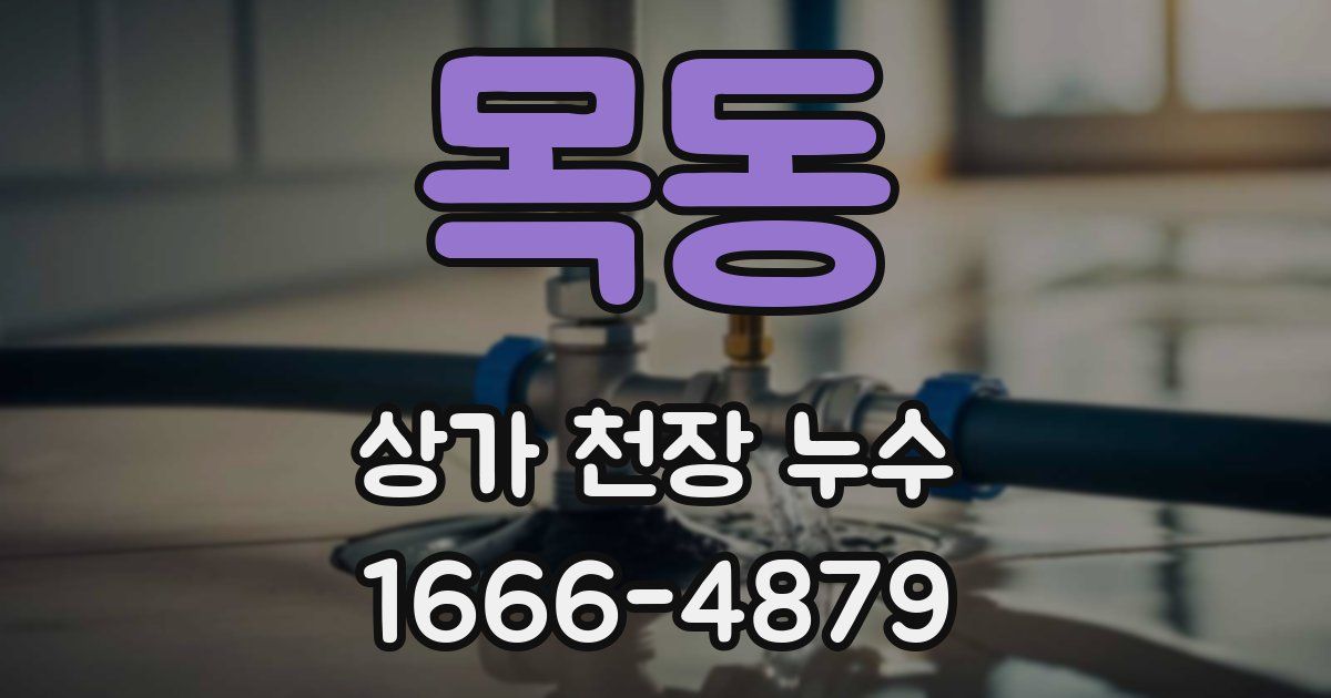 목동 상가 천장 누수