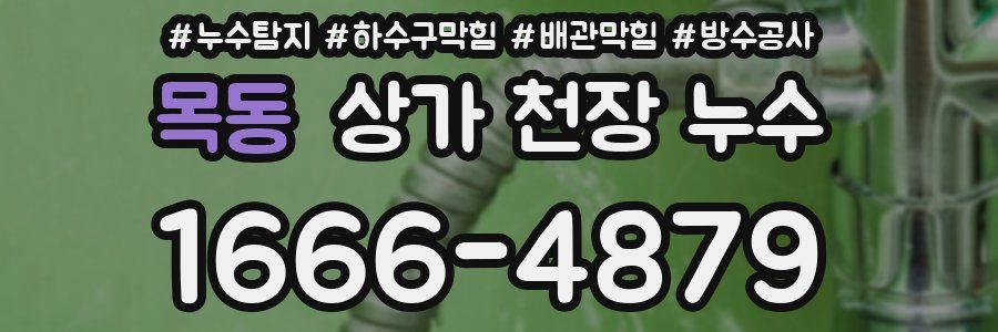 목동 상가 천장 누수