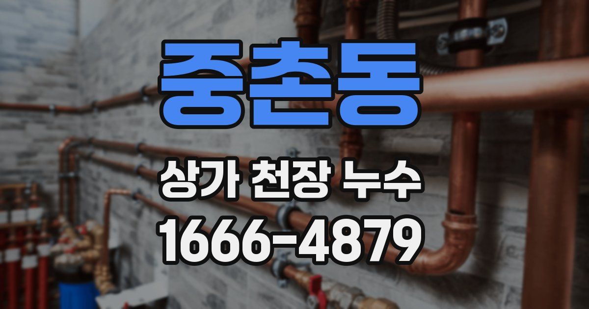 중촌동 상가 천장 누수