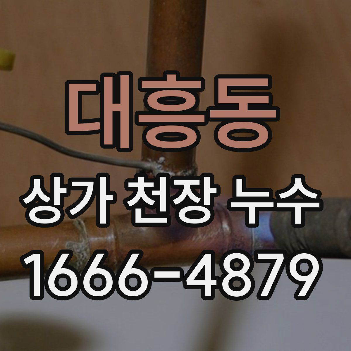 대흥동 상가 천장 누수