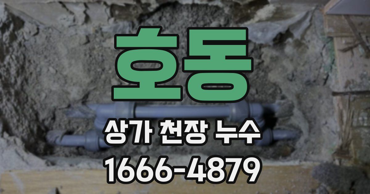 호동 상가 천장 누수
