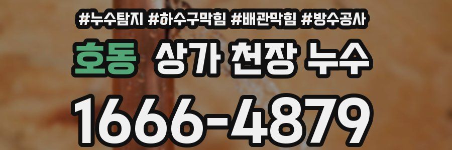 호동 상가 천장 누수