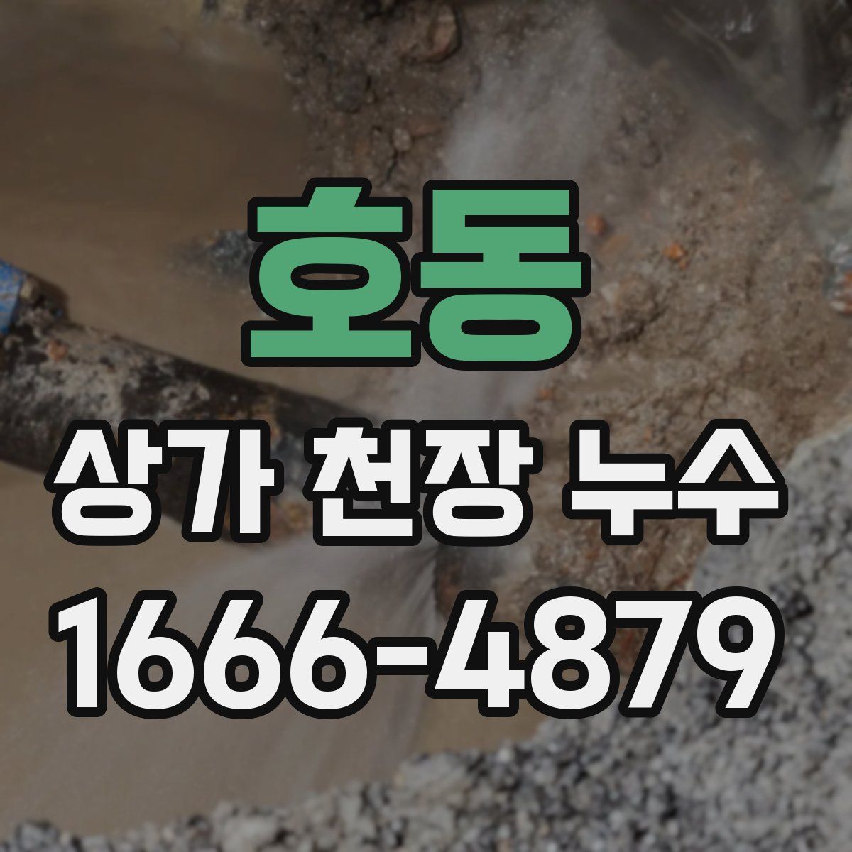 호동 상가 천장 누수