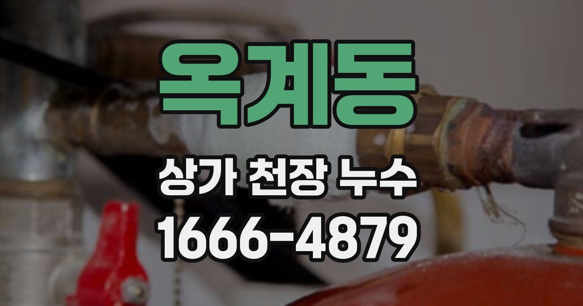 옥계동 상가 천장 누수