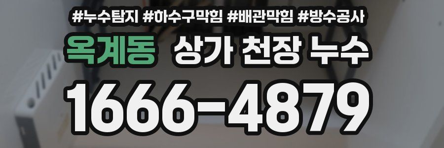 옥계동 상가 천장 누수