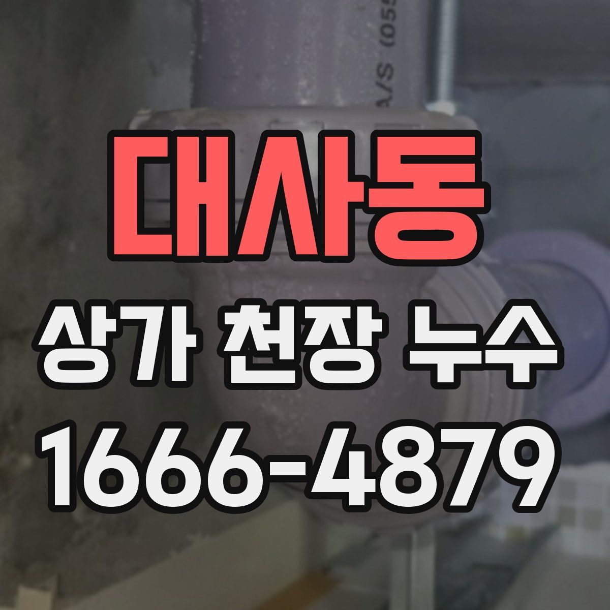 대사동 상가 천장 누수