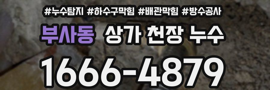 부사동 상가 천장 누수