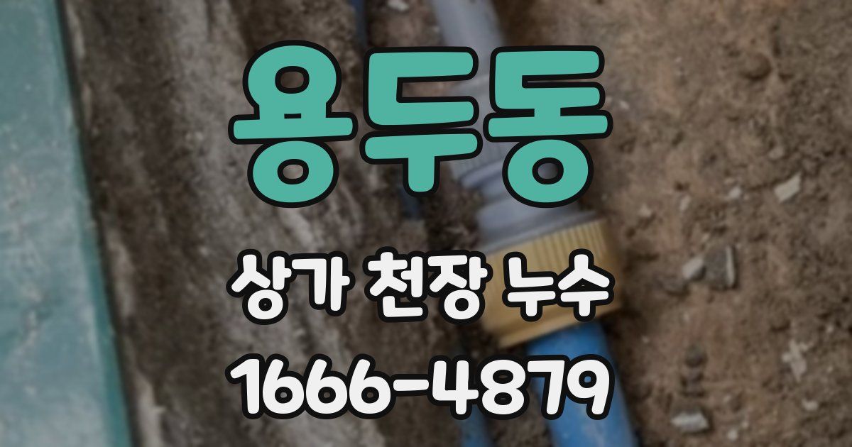 용두동 상가 천장 누수