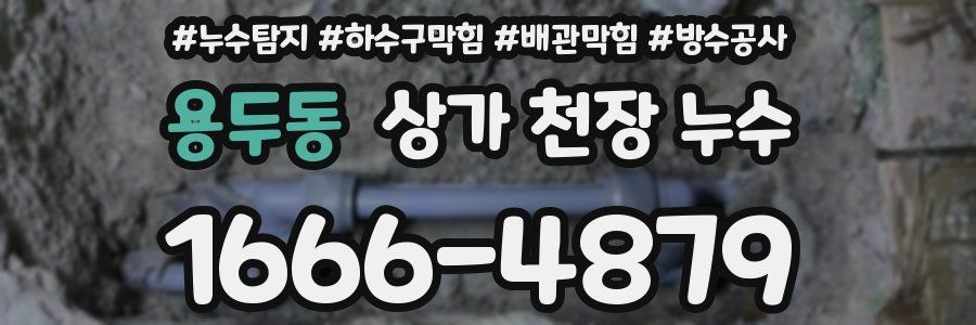 용두동 상가 천장 누수