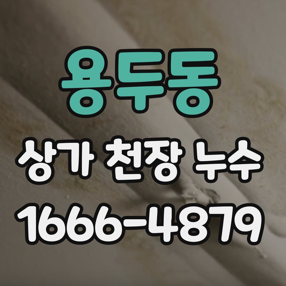 용두동 상가 천장 누수