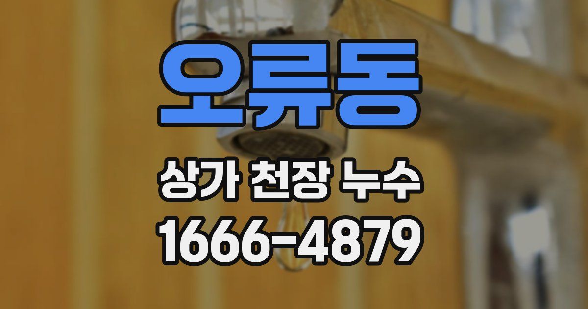 오류동 상가 천장 누수