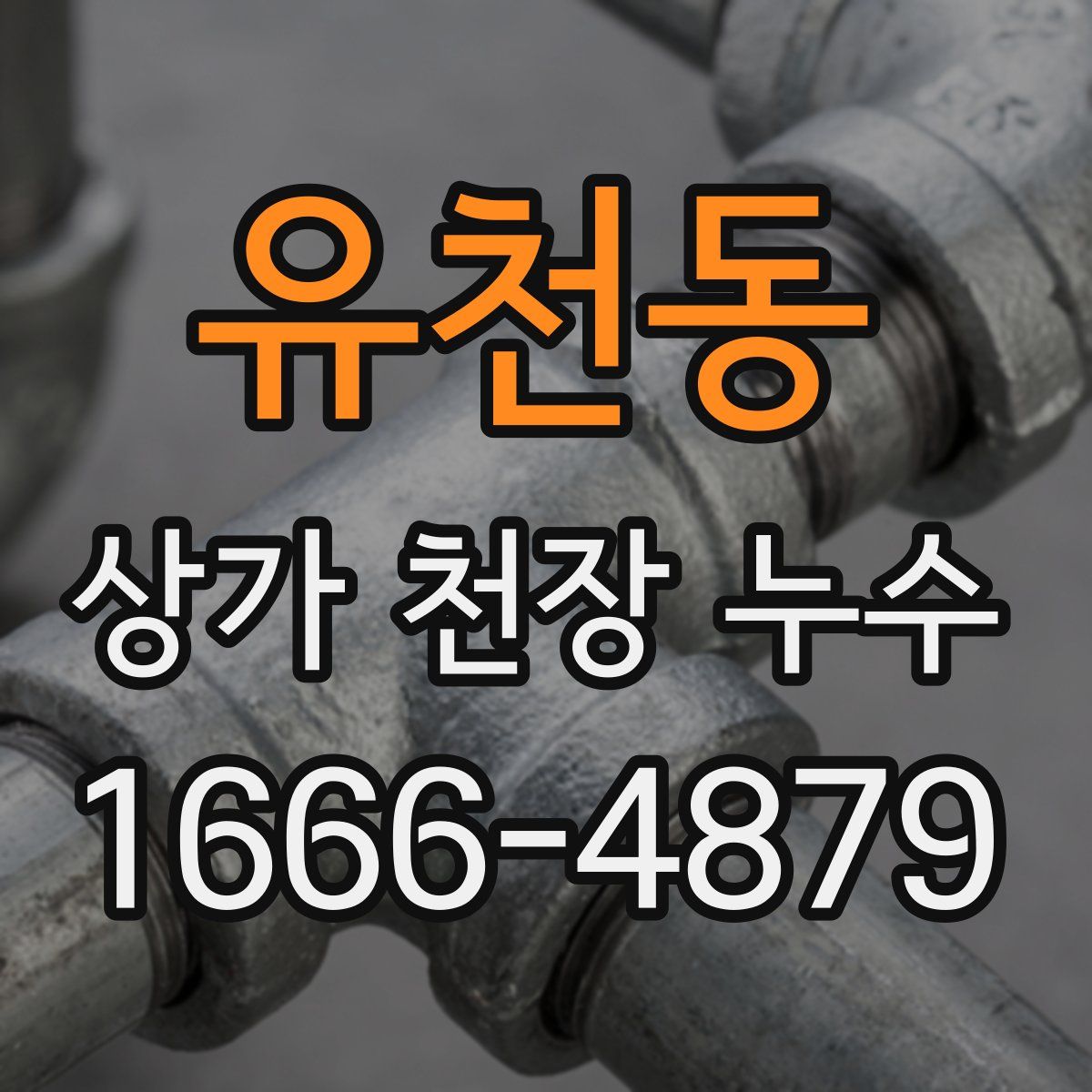 유천동 상가 천장 누수