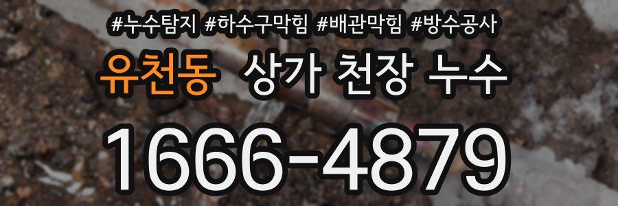 유천동 상가 천장 누수