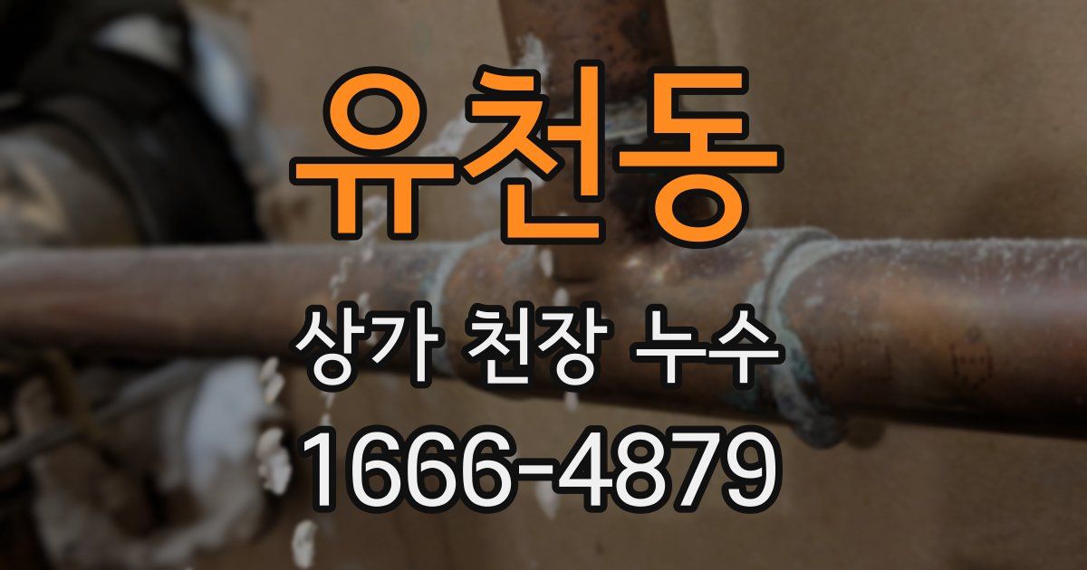 유천동 상가 천장 누수