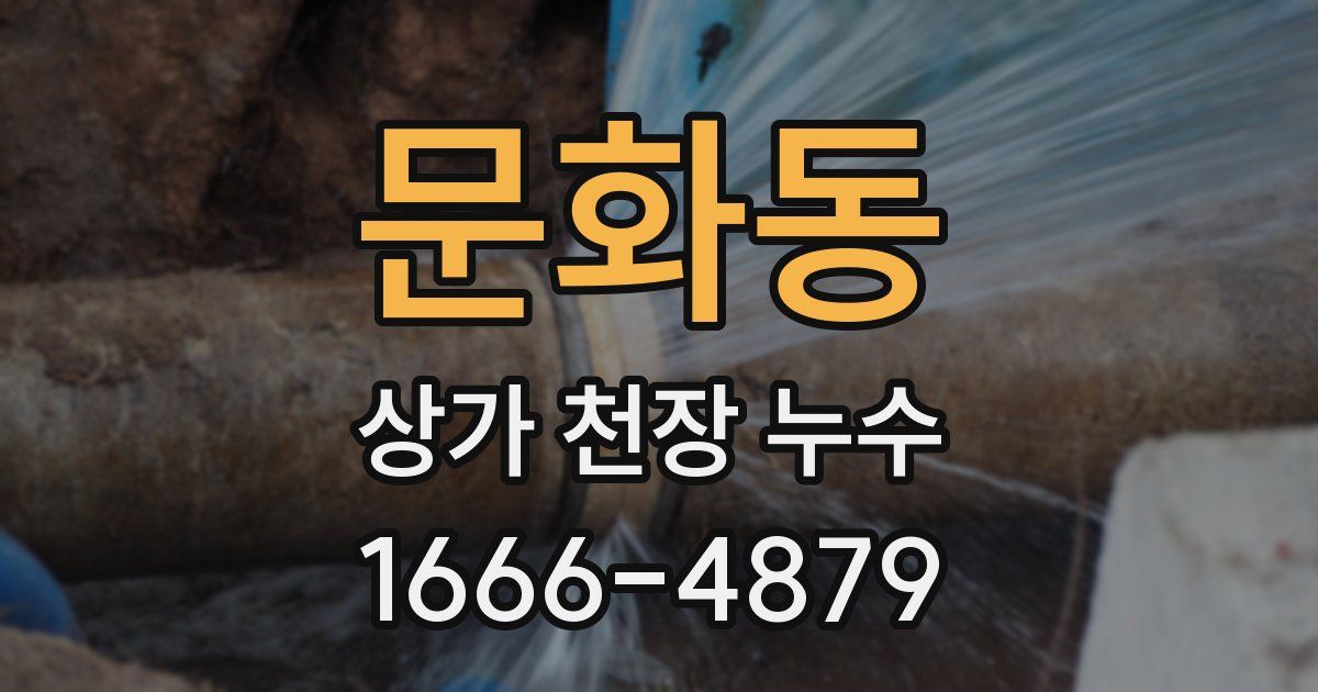 문화동 상가 천장 누수