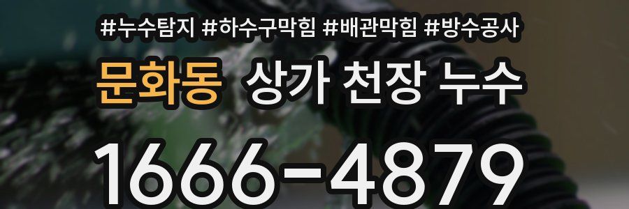 문화동 상가 천장 누수