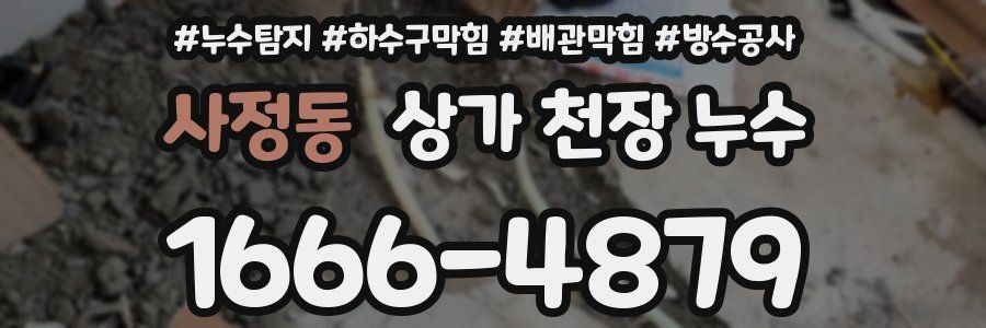 사정동 상가 천장 누수