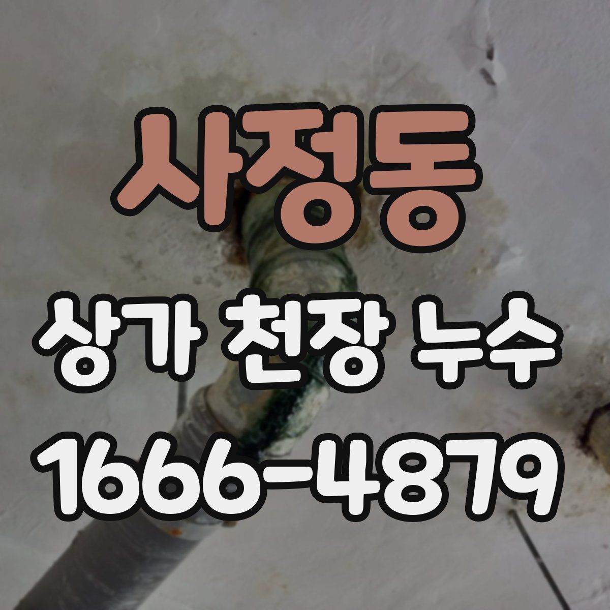 사정동 상가 천장 누수