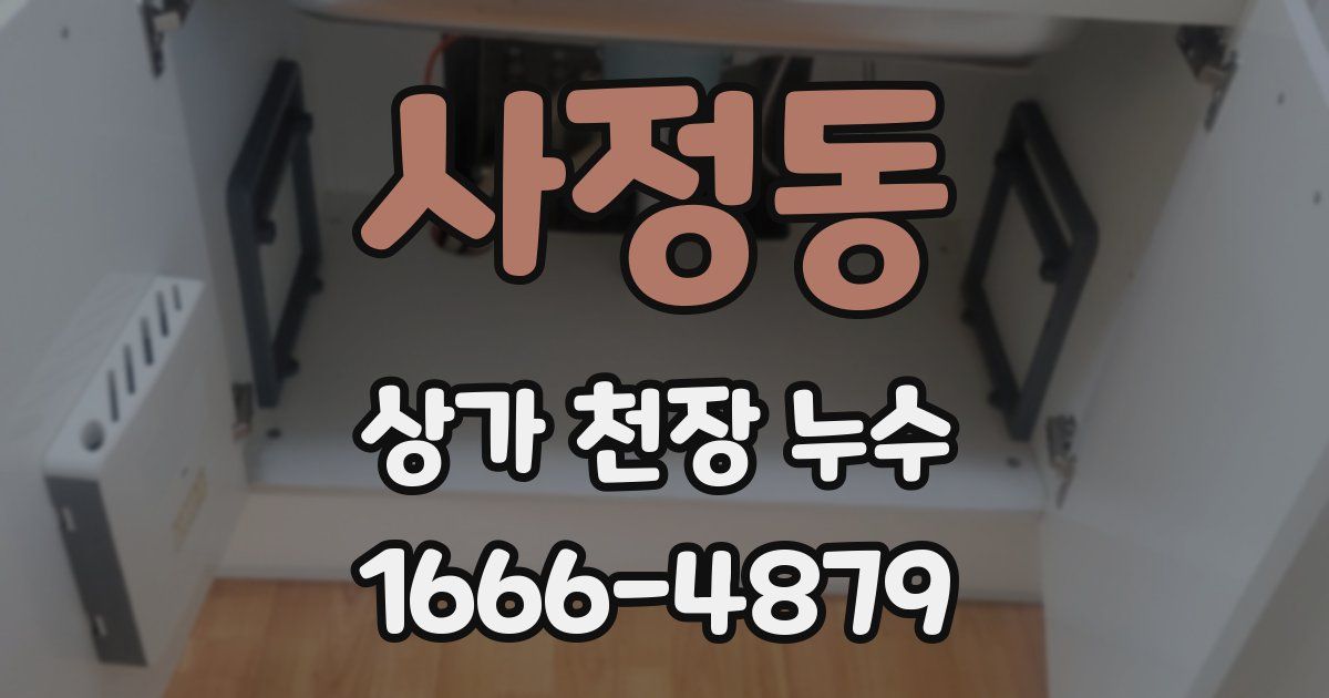 사정동 상가 천장 누수