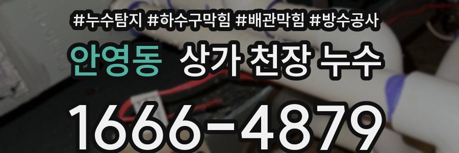 안영동 상가 천장 누수
