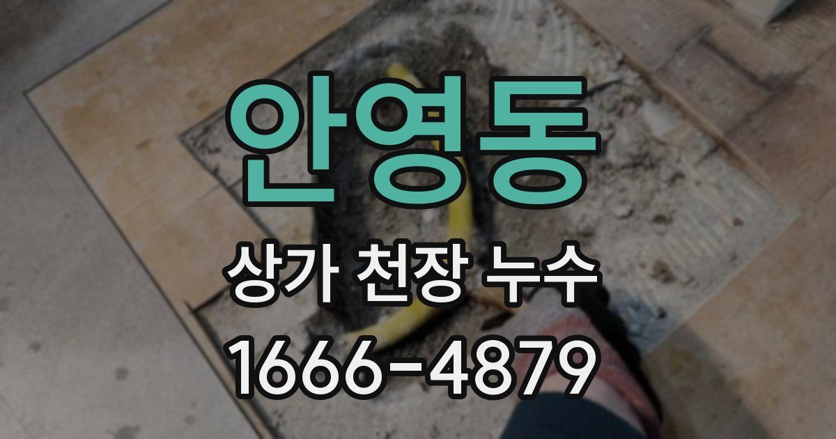 안영동 상가 천장 누수