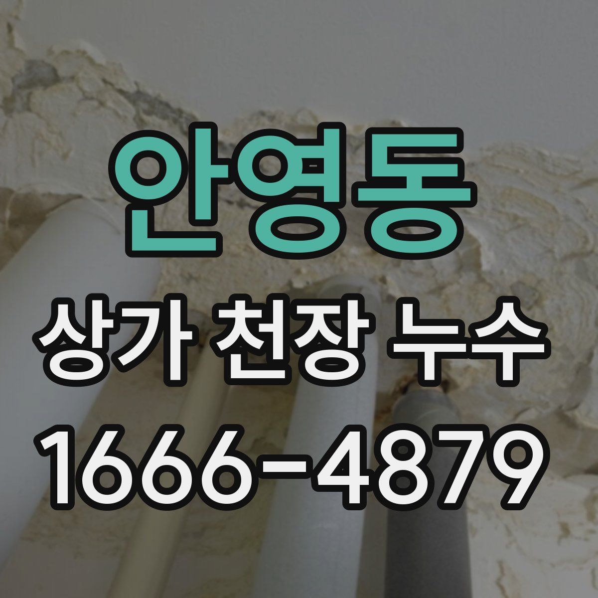 안영동 상가 천장 누수
