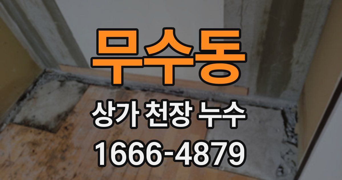 무수동 상가 천장 누수