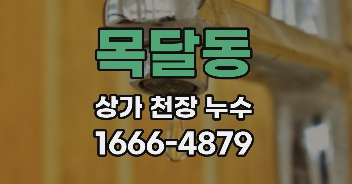 목달동 상가 천장 누수
