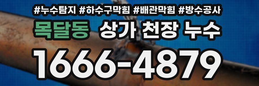 목달동 상가 천장 누수