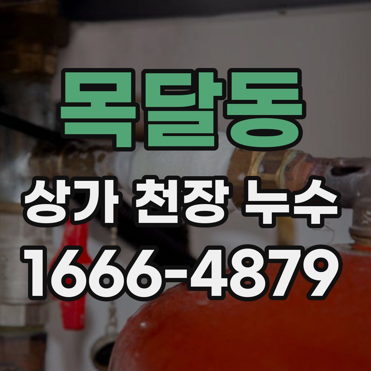 목달동 상가 천장 누수