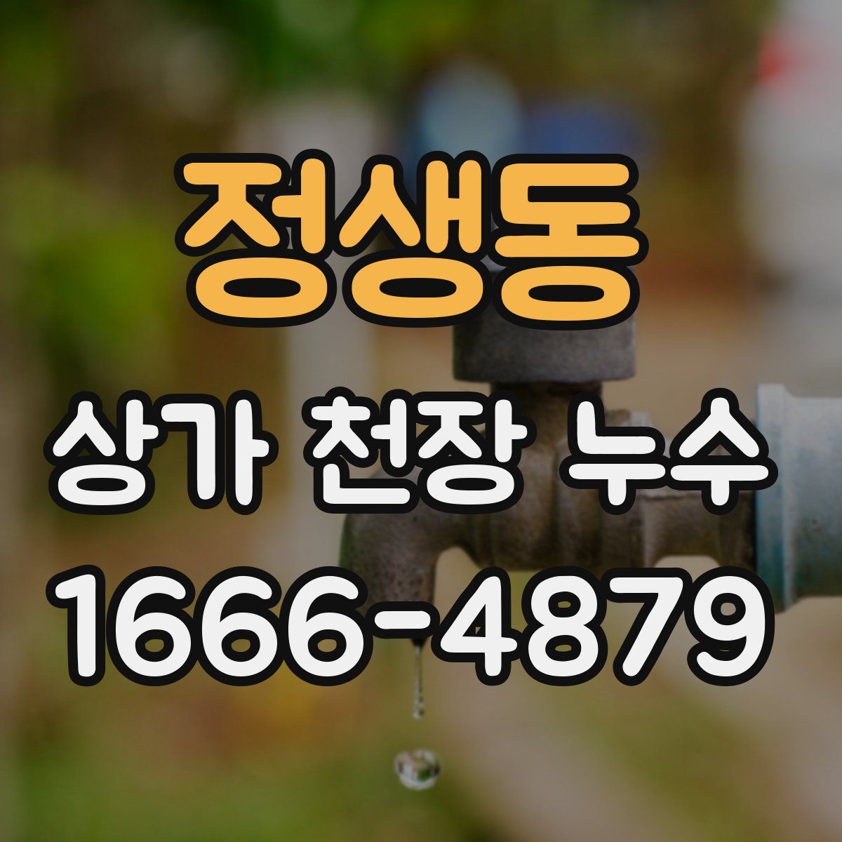 정생동 상가 천장 누수